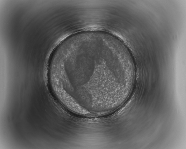 X0000095531410200801111404