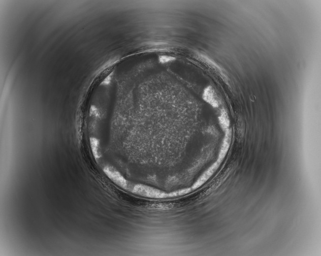 X0000095531411200801111404