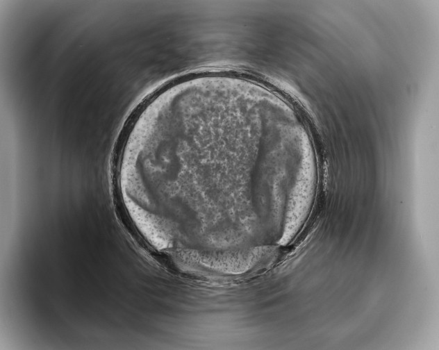 X0000095531412200801111404