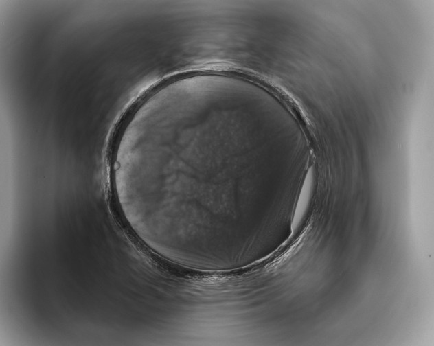 X0000095531414200801111404