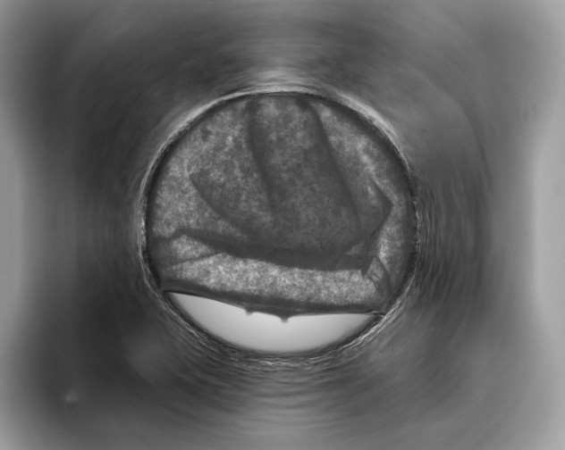 X0000095531415200801111404