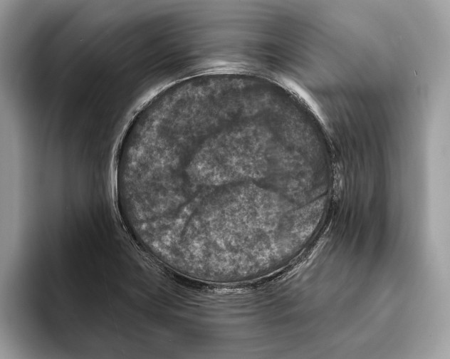 X0000095531419200801111404