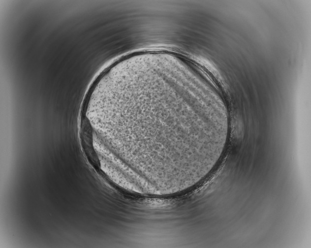 X0000095531420200801111404