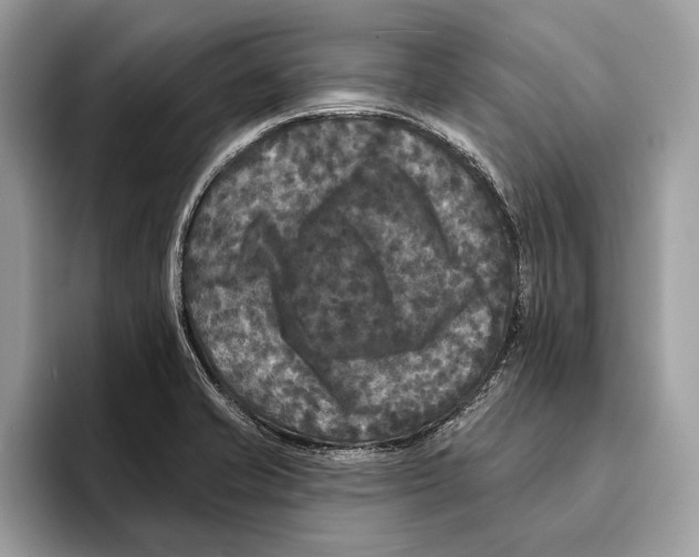 X0000095531421200801111404