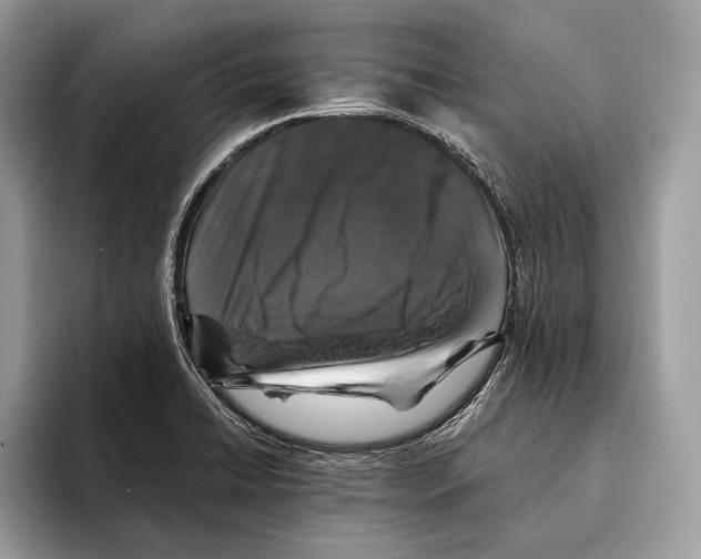 X0000095531422200801111404