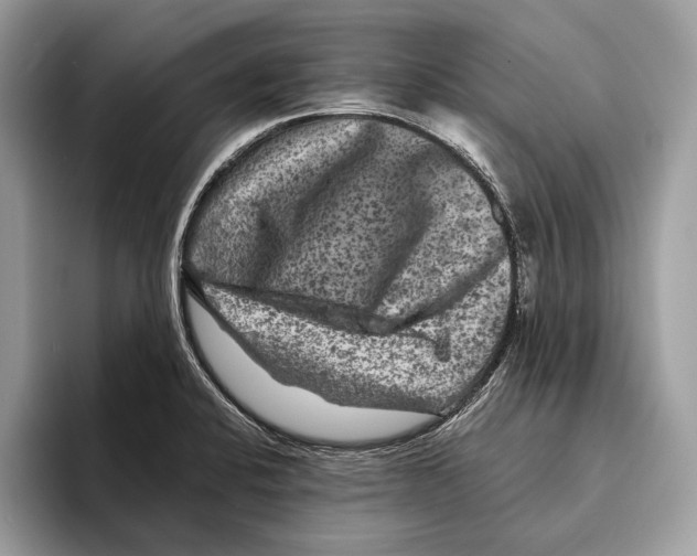 X0000095531424200801111404