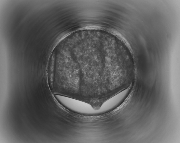 X0000095531425200801111404