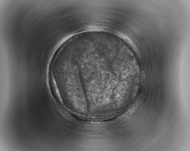 X0000095531427200801111404