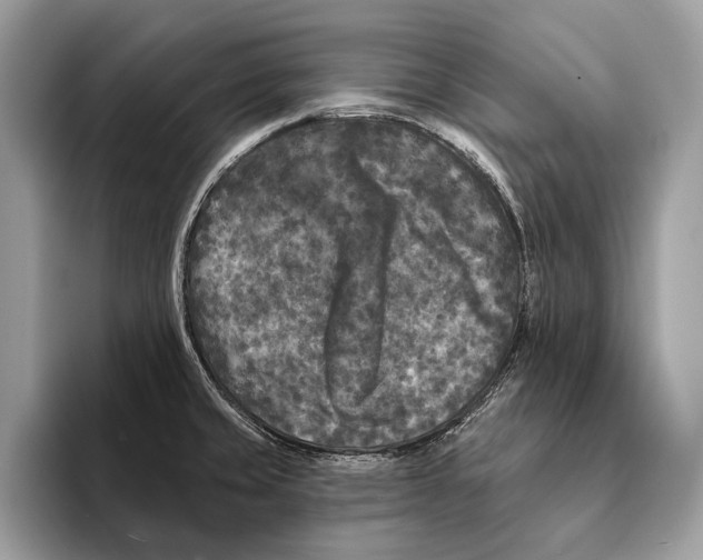 X0000095531429200801111404