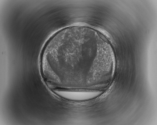 X0000095531430200801111404