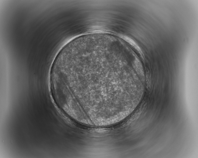 X0000095531431200801111404