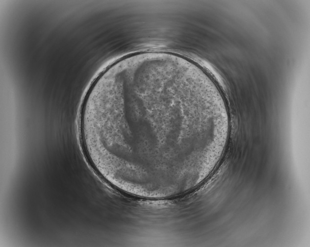 X0000095531432200801111404