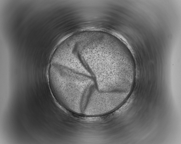 X0000095531433200801111404