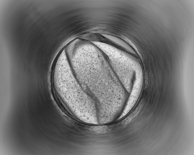 X0000095531434200801111404