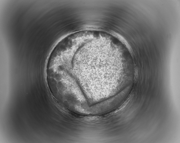 X0000095531435200801111404