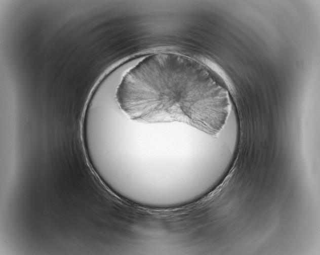 X0000095531436200801111404