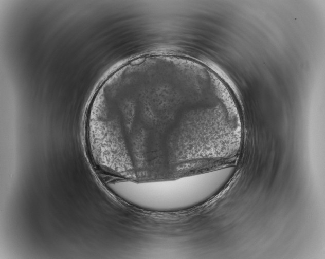 X0000095531437200801111404