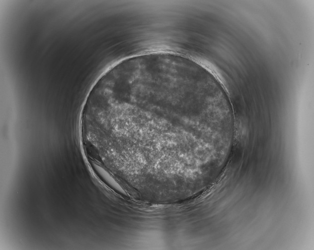 X0000095531439200801111404