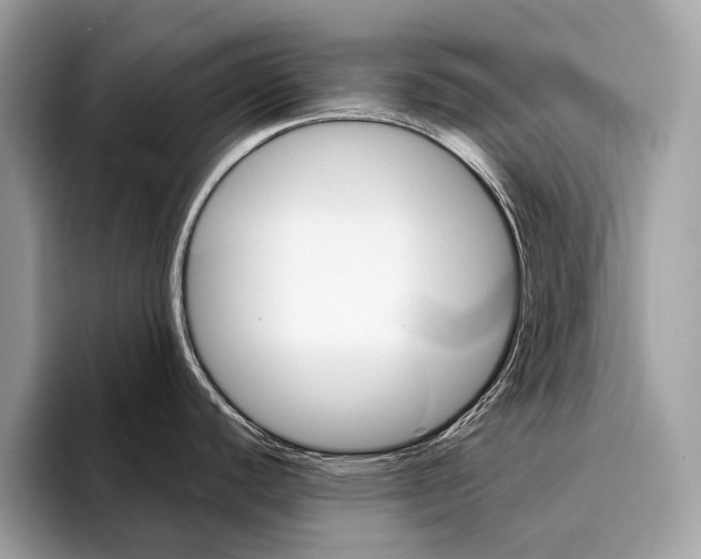 X0000095531440200801111404