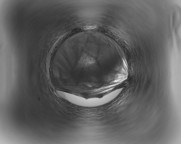 X0000095531441200801111404