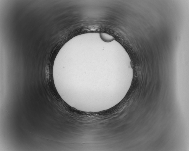 X0000095531442200801111404