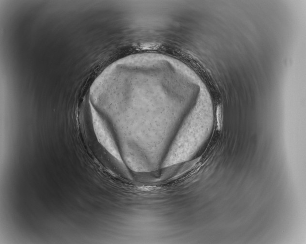 X0000095531443200801111404