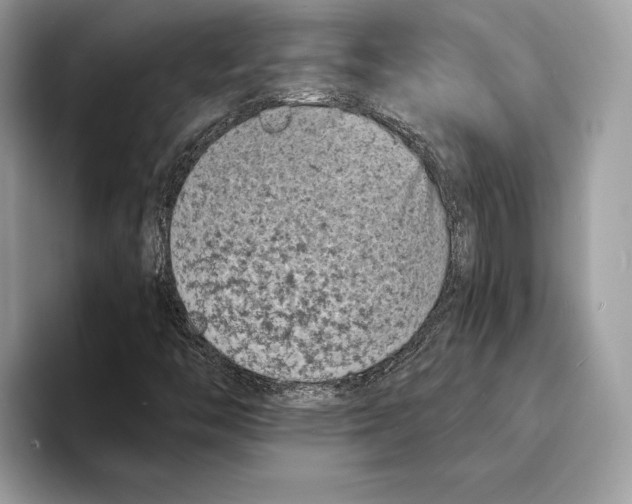 X0000095531446200801111403