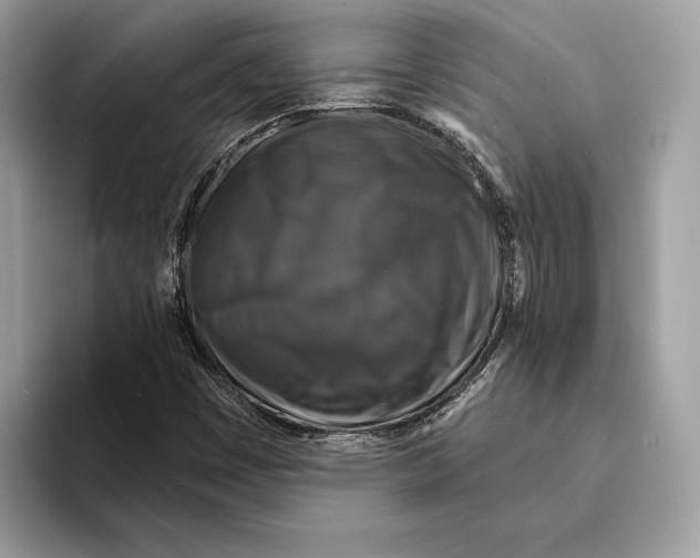 X0000095531449200801111403