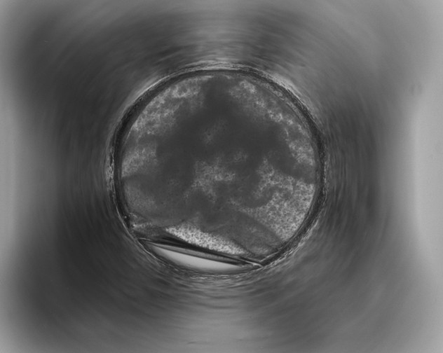 X0000095531450200801111403