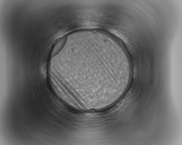 X0000095531451200801111403