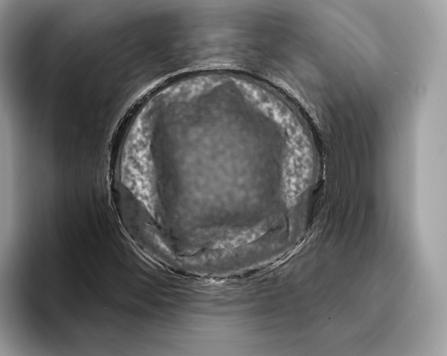 X0000095531452200801111403