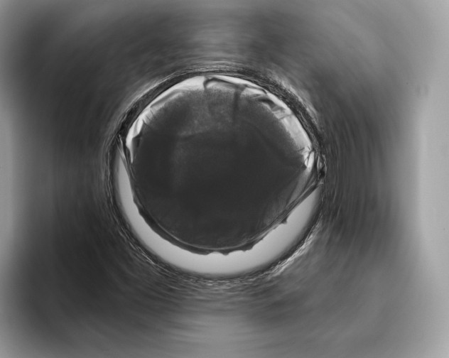 X0000095531453200801111403