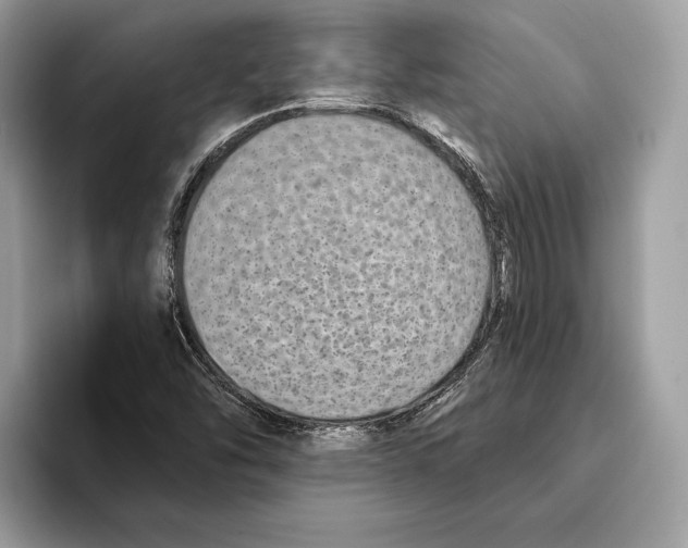 X0000095531454200801111403