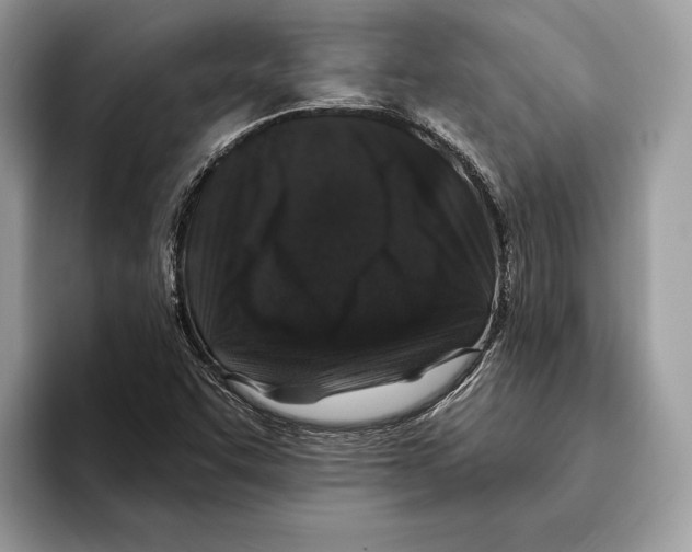 X0000095531455200801111403