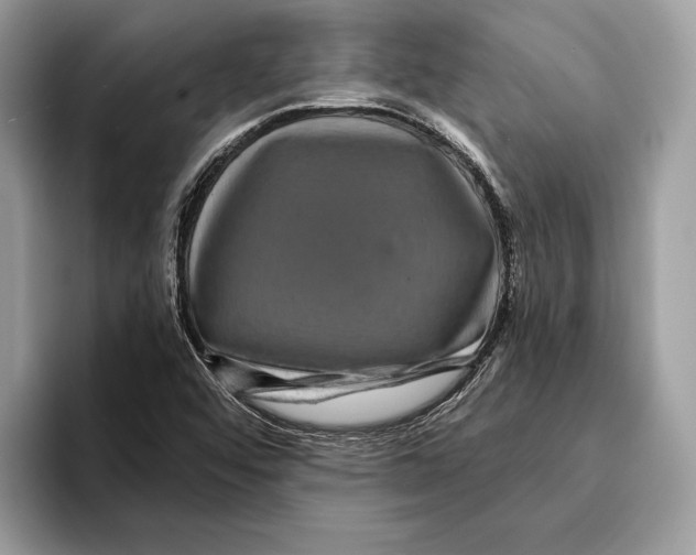 X0000095531456200801111403