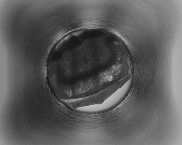 X0000095531459200801111403