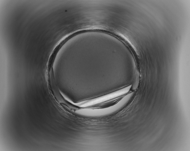 X0000095531460200801111403