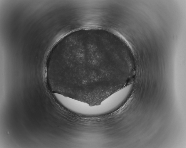 X0000095531461200801111403