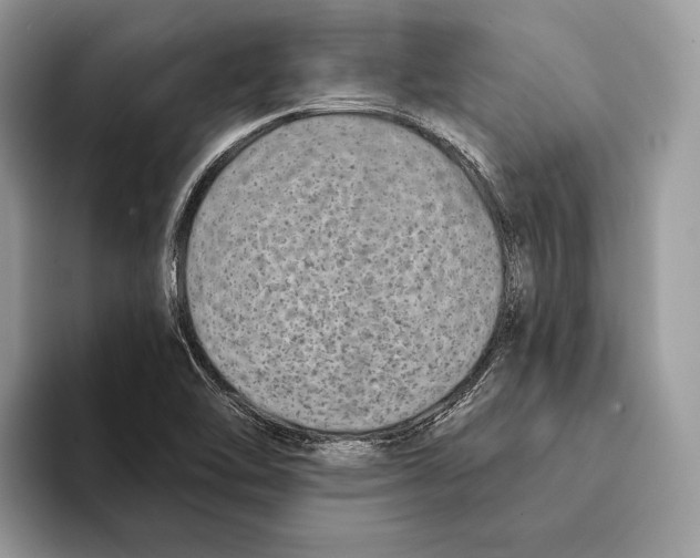 X0000095531462200801111403