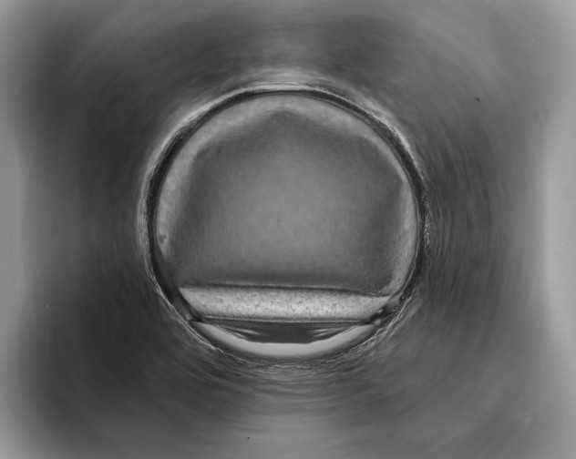 X0000095531464200801111403