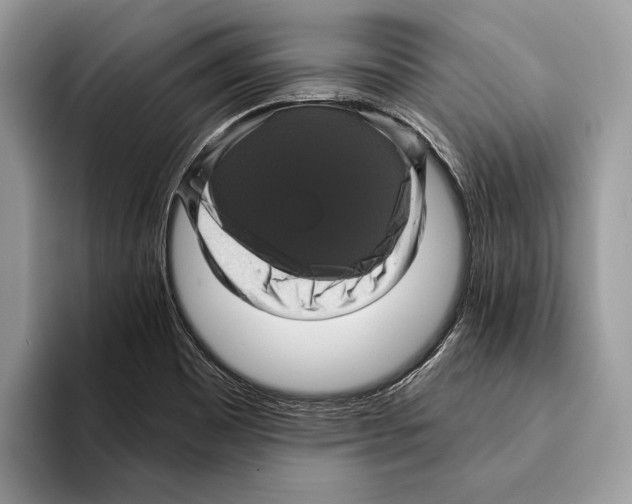 X0000095531465200801111403