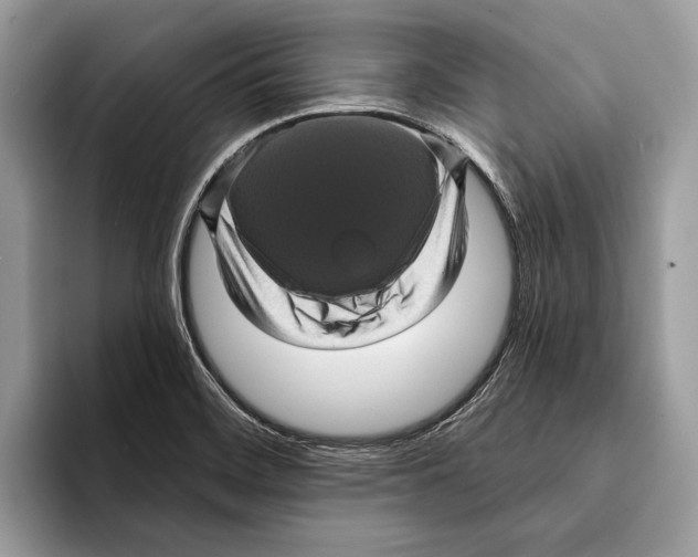 X0000095531468200801111403