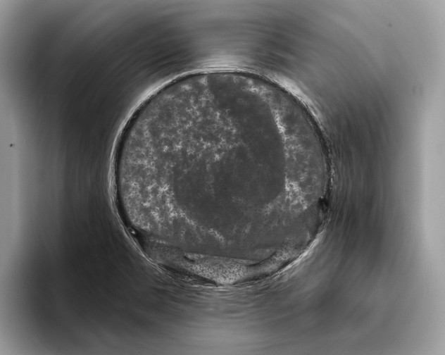 X0000095531469200801111403