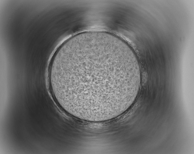 X0000095531470200801111403