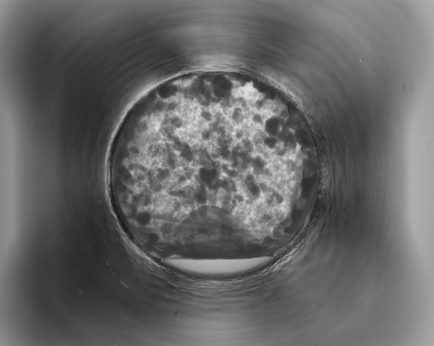 X0000095531471200801111403