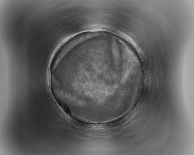 X0000095531472200801111403