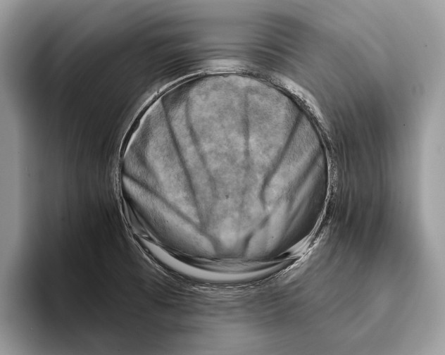 X0000095531473200801111403