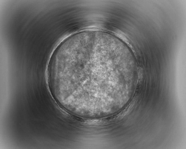 X0000095531474200801111403