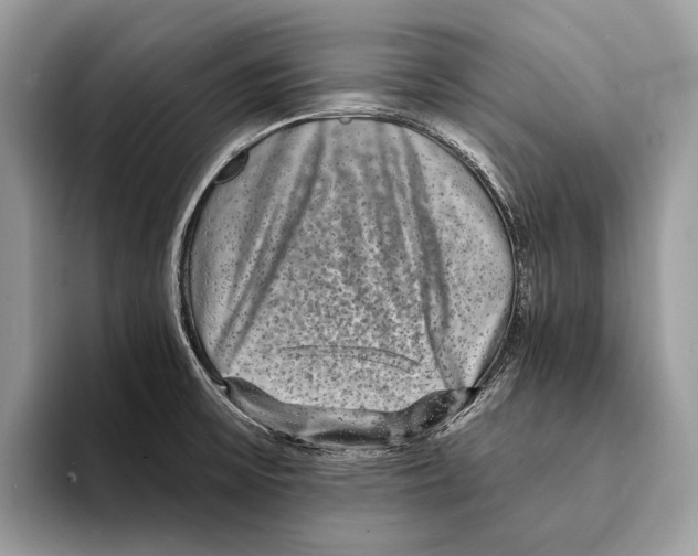 X0000095531475200801111403