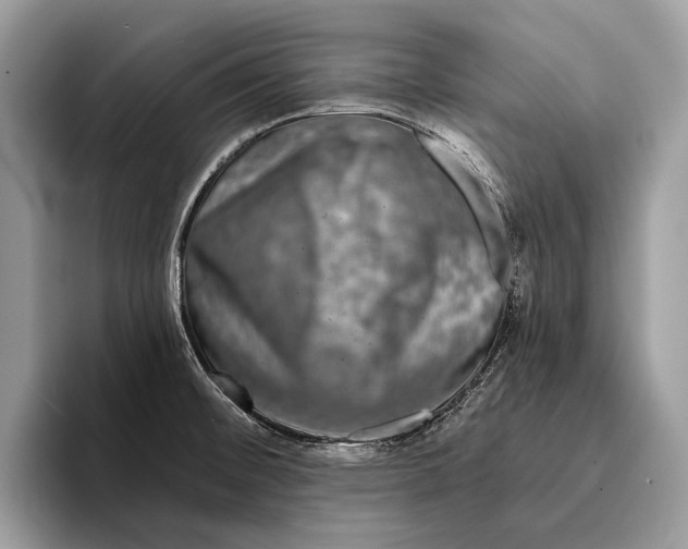 X0000095531476200801111403